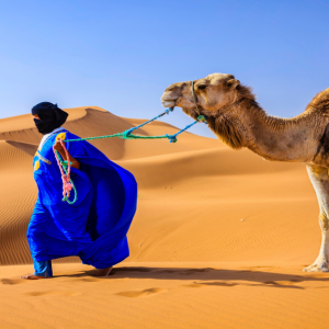 Sahara express